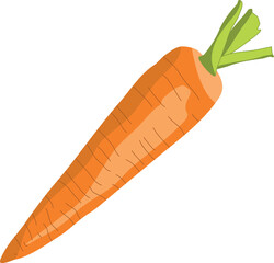 Vector icon carrots for menu design, recipes, packaging. Recipes, homemade food, cooking, teaching concept. Isolated vector illustration for flyer, poster, banner.