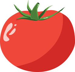 tomato illustration, Vector tomato icon for menu design, recipes, packaging. Recipes, homemade food, cooking, teaching concept. Isolated vector illustration for flyer, poster, banner.