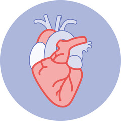 Heart illustration anatomy real icon for fitness app or website or print artwork