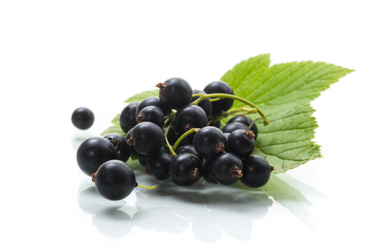 ripe blackcurrant berries with leaves on white background.
