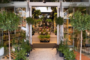 Fototapeta na wymiar The shop front of an indoor plant nursery commercial store with a variety of green leafy plants displayed for sale. A shop for plant enthusiasts and interior decorators to choose and buy products.