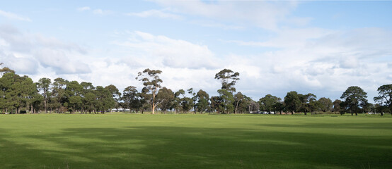 Background texture panoramic view of a vast vacant grass lawn with a variety of trees in the background. Panorama of a formal botanical garden with a large outdoor open space. Copy space