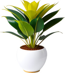 vase decoration plant planted in a pot on a white png background