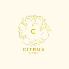 Vector yellow linear lemon wreath illustration logo template