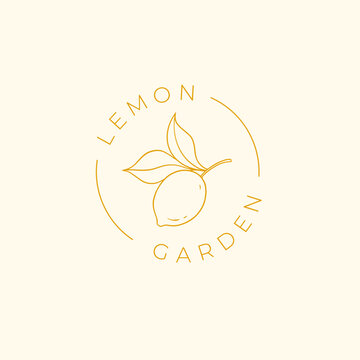 Vector yellow linear lemon illustration logo template