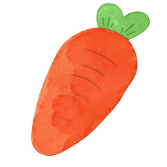 Carrot,food