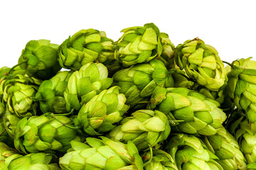 Heap of ripe hop on white background