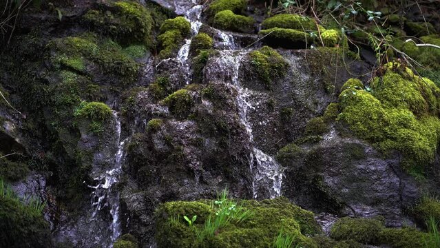 Small rocky waterfall, with green moss and flowing water