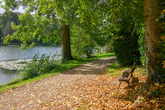 Etangs
