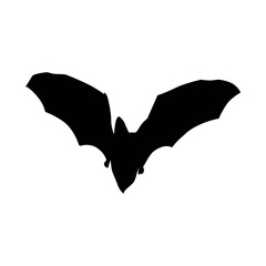 Bat Silhouette Black