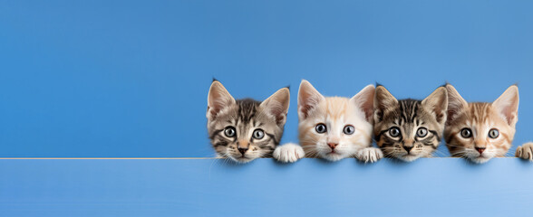 Little surprised kittens peek out on a blue background. AI generation