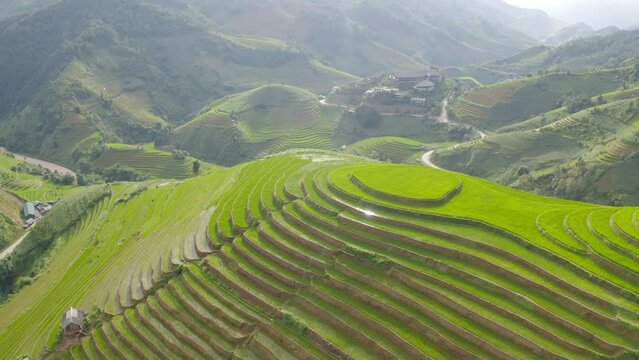 Aerial top view of fresh paddy rice terraces, green agricultural fields in countryside or rural area of Mu Cang Chai, mountain hills valley in Asia, Vietnam. Nature landscape background.