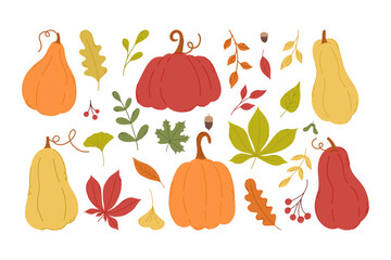 Autumn set of vector hand-drawn elements. A set of pumpkins and leaves. Fall elements.