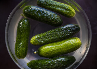 cucumbers in a bowl