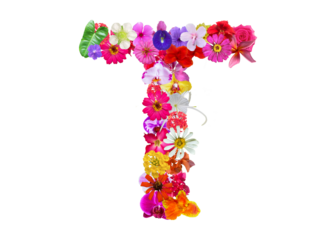 T shape made of various kinds of flowers petals isolated on transparent background, PNG