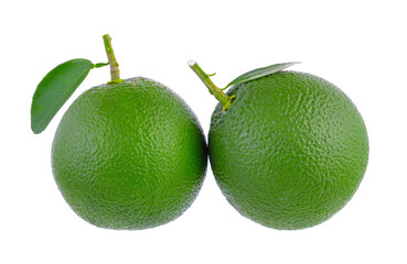 Sweet Orange isolated on transparent png