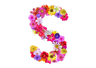 S shape made of various kinds of flowers petals isolated on transparent background, PNG