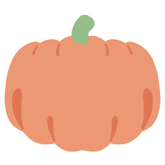 illustration of pumpkin