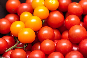 Full frame of red and yellow ripe cherry tomatoes.