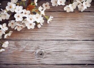 Fototapeta na wymiar Blossom cherry on wood background. Generative AI.