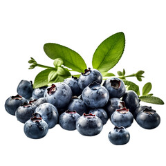 blueberries isolated on transparent background