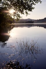 Lac nature coucher de soleil