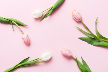 Pink and white tulips on a colored holiday frame Background. Floral spring background for March 8, birthday, mother's day. copy space top view flat lay