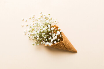 Waffle cone with beautiful gypsophila flowers on color background. summer concept. Copy space top view