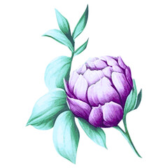 Obraz premium artichoke