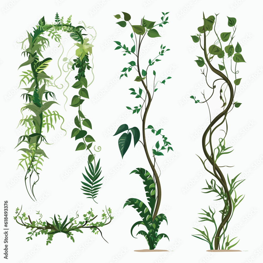 Wall mural Tropical vines vegetation vector set isolated on white