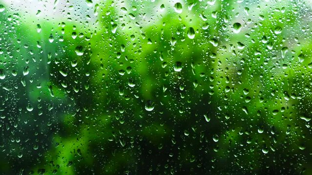 Raindrops on the glass against the background of green foliage. Background with the texture of water drops on the window. Abstract water rain background