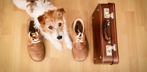 Cute dog puppy waiting with a retro suitcase and shoes. Pet hotel, travel, vacation or holiday banner.