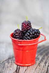 Mulberry sweet summer dessert fruits in a red decor pot, vertical healthy food background