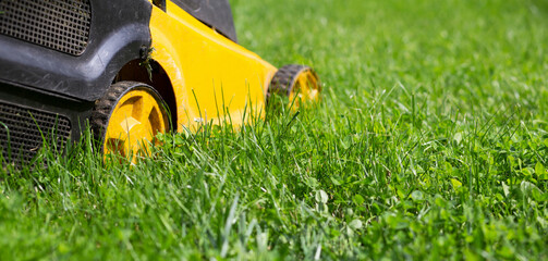 Close-up of a lawn mower wheel on green lawn grass, gardening equipment banner, background with copy space