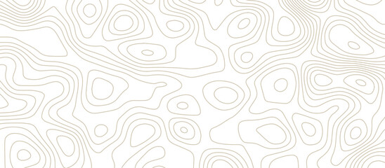 Panorama view gradient multicolor wave curve lines banner background design. Vector illustration. Line topography map contour background .Abstract Topographic map background with wave line.