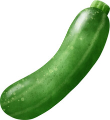 Zucchini