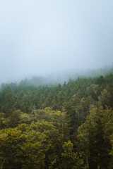 Morning fog in Snowshoe Mountain, West Virginia