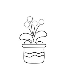 flower in a pot