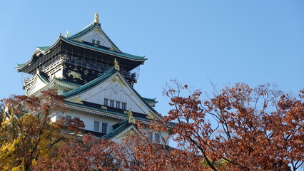 Fototapeta premium 秋の大阪城公園