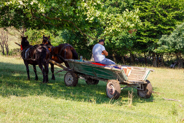 A horse carriage in the landscape of viscri