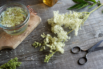 Meadowsweet blossoms and alcohol, to prepare tincture