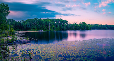 Lily Pond at sunset at the wildlife conservation area in Lincoln State Park, Providence, Rhode...