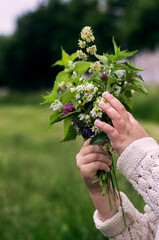 Wildflowers nature bouquet spring ecology