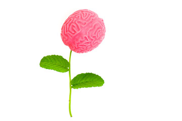 Flower Arranged from a Human Brain Model