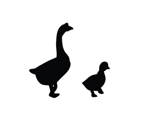 Goose and gosling silhouette. Domestic farm bird in black color. Vector illustration about animal.