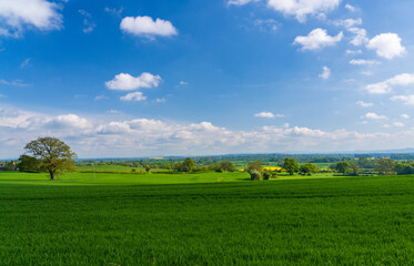 Wide view across grassland and meadows from Welsh Frankton in Shropshire