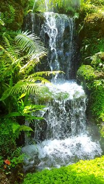 waterfall in the forest