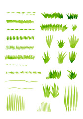 Watercolor sketches of blades of grass. Various borders of fresh lawn, hummocks, sedge bushes. Light green color. Set of isolated sketches for your design. Elements for patterns and prints