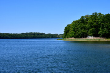 A view of a vast yet shallow river surrounded from all sides by reeds, forests, and moors with some stones located near the coast and birds using them to graze and rest seen in Poland in summer