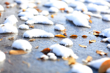 Fallen leaves in the snow